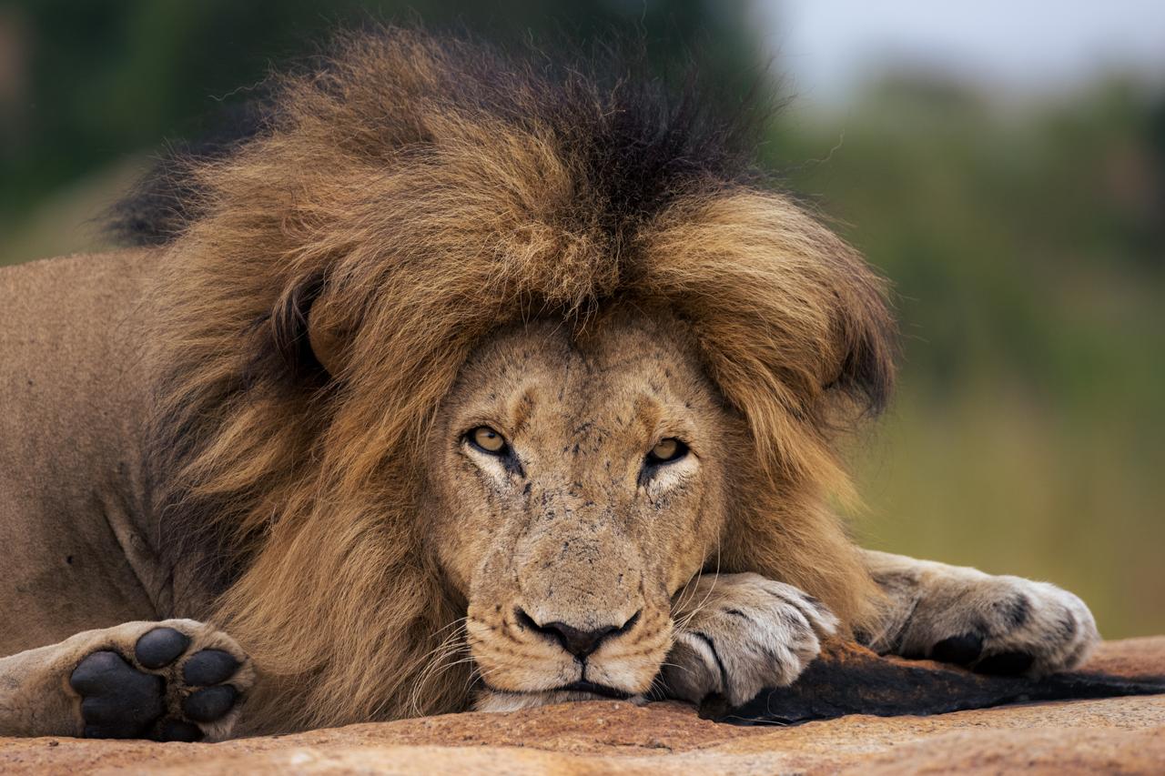 Kruger National Park